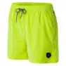 Neon yellow 923c