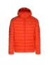 Arc'teryx Herren Isojacke Cerium Hoodie
