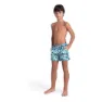 arena Allover Badeshorts