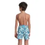 arena Allover Badeshorts