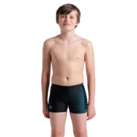 arena Dim Light Badehose Boxer male