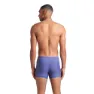 arena Graphic Badehose Boxer