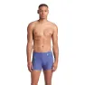 arena Graphic Badehose Boxer
