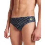 arena Monogram Badeslip, Dark sage multi