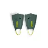 Sage / artic lime