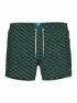 arena Water Prints Beach Allover 32cm Badeshorts male