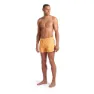 arena Water Prints Beach Allover 32cm Badeshorts