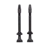 Arise Tubeless Ventile 60 Mm Arise Tubeless Ventile 60 Mm