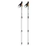 Arva Nepal Compact 3 Parts Powerlock Cork Grip Stöcke, Ice blue, 105-120cm