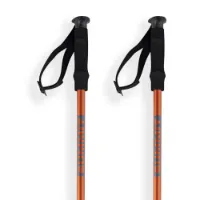 Arva Tibet 3 Parts Classic Cone Twistlock Stöcke Arva Tibet 3 Parts Classic Cone Twistlock Stöcke