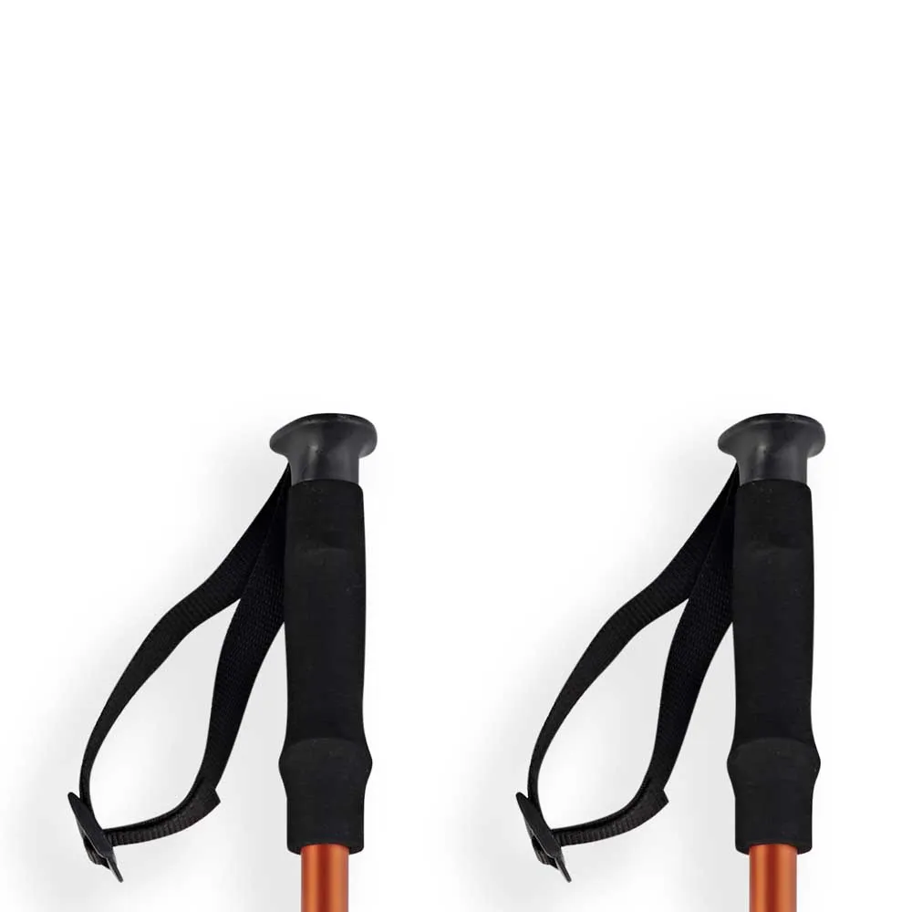 Arva Tibet 3 Parts Classic Cone Twistlock Stöcke Arva Tibet 3 Parts Classic Cone Twistlock Stöcke