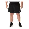 Asics 2N1 5IN Shorts