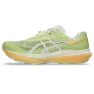 Asics Fujispeed 4 Laufschuhe male