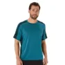 Atlantis blue / saxon green