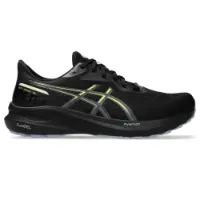 Asics Gt-1000 13 Goretex Laufschuhe male