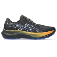 Asics Gt-2000 14 Gtx Laufschuhe male