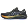 Asics Gt-2000 14 Gtx Laufschuhe male