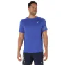 Asics Icon Kurzarm-t-shirt male