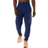Asics Logo Hosen male