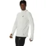 Asics Metarun Winter Kapuzenpullover male