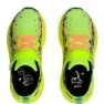 Asics Pre Noosa Tri 16 Ps Laufschuhe male