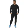 Asics Sweatshirt male