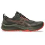 Asics Trabuco Terra 3 Laufschuhe male
