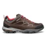 Dark brown / frostgrey