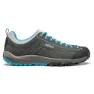 Graphite / cyan blue