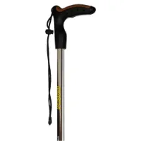 Asolo Walker Ql100 Stöcke Asolo Walker Ql100 Stöcke