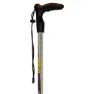 Asolo Walker Ql100 Stöcke, Black / grey, 55-100cm