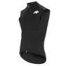 ASSOS Equipe Rs Spring Fall Targa Weste