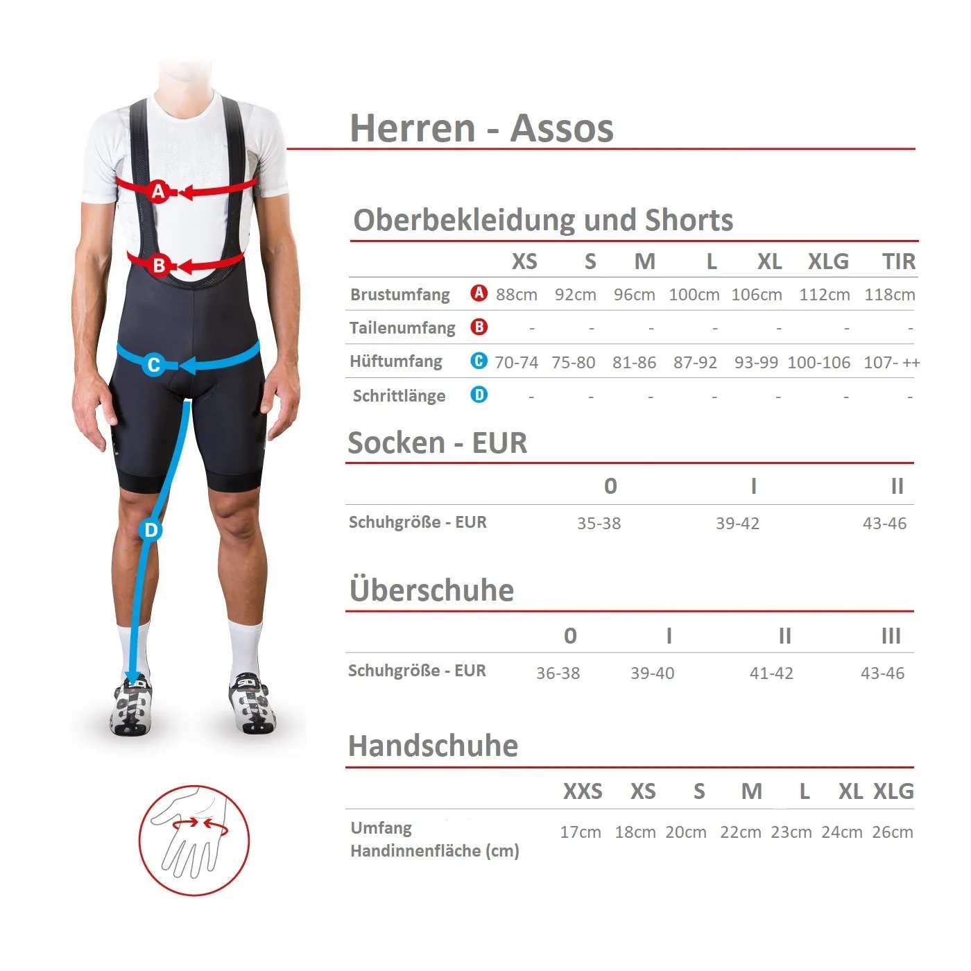 ASSOS Equipe RS Winter L Mid Layer Trikot ASSOS Equipe RS Winter L Mid Layer Trikot