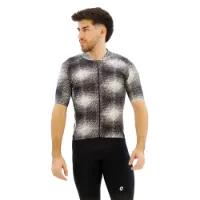 ASSOS Mille Gt C2 Evo Kurzarm-radtrikot ASSOS Mille Gt C2 Evo Kurzarm-radtrikot