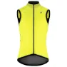 Optic yellow