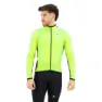 Optic yellow