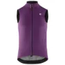 Alchemy purple