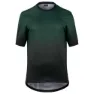 Schwarzwald green 1