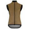 Bronze ash