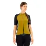 Millennio ocher