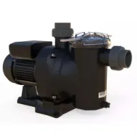 Astral Sena 11800l/h 1 Hp Ii Selbstansaugende Kunststoffpumpe 230 V Refurbished unisex