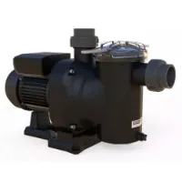 Astral Sena 14000l/h 1.25 Ps 230/iii Selbstansaugende Kunststoffpumpe 400 V Astral Sena 14000l/h 1.25 Ps 230/iii Selbstansaugende Kunststoffpumpe 400 V