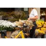 Atranvelo Epic Smart Avs Hinterer Korb 24l, Black, One Size