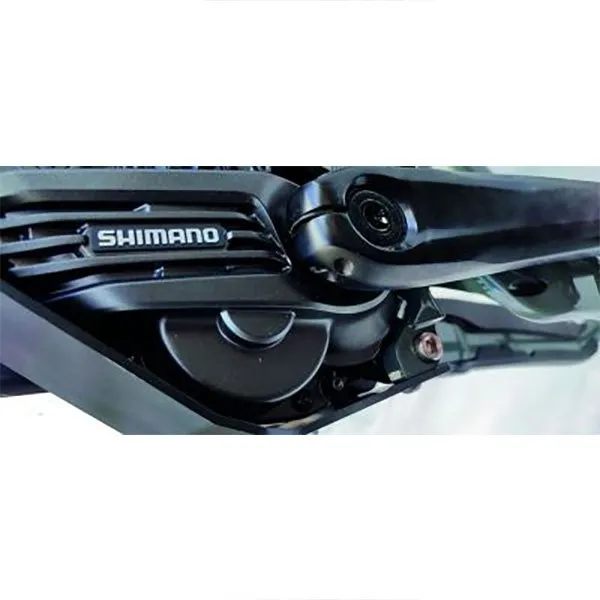 AVS Racing Commençal 2022 Motorschutz, Multicolor, One Size AVS Racing Commençal 2022 Motorschutz, Multicolor, One Size
