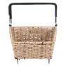 Basil Cento Rattan Look Nx Hinterer Korb 22l, Seagrass, One Size