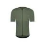 Green olive