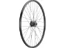 bc basic Alfine Disc Center Lock P-22 28" 8-Gang Laufrad, Schwarz, 28" VR 9 x 100 Dynamo