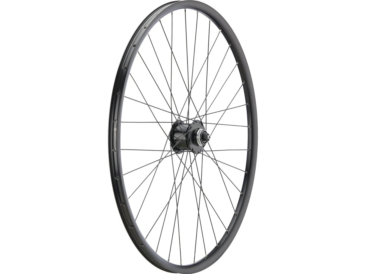 bc basic Alfine Disc Center Lock P-22 28" 8-Gang Laufrad, Schwarz, 28" VR 9 x 100 Dynamo bc basic Alfine Disc Center Lock P-22 28" 8-Gang Laufrad, Schwarz, 28" VR 9 x 100 Dynamo