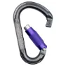 Beal Be Lock Matic Karabinerhaken, Matt grey, One Size