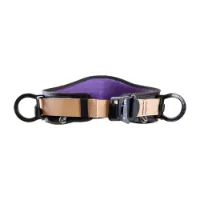 Beal Ceinture Styx Kompletter Gurtzeug